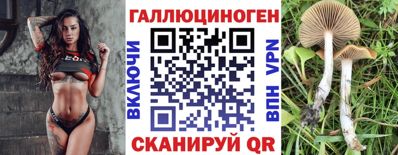 Галлюциногенные грибы Magic Shrooms Чайковский