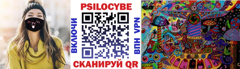 как найти закладки  Чайковский  shop клад  Псилоцибиновые грибы мицелий 